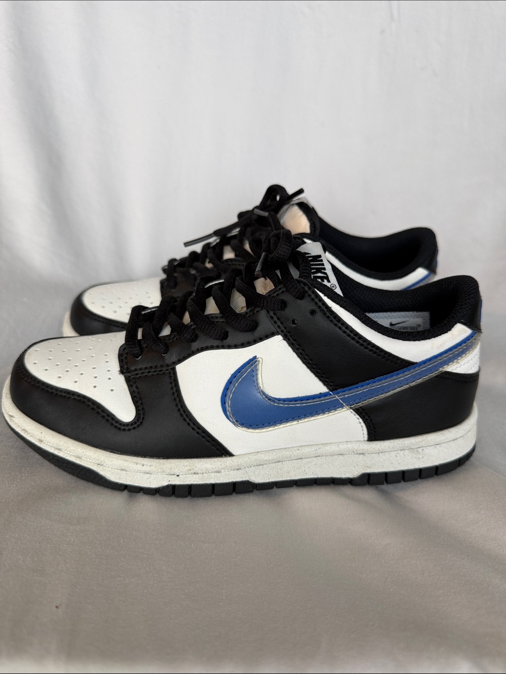 Nike Dunks Big Kids (GS)